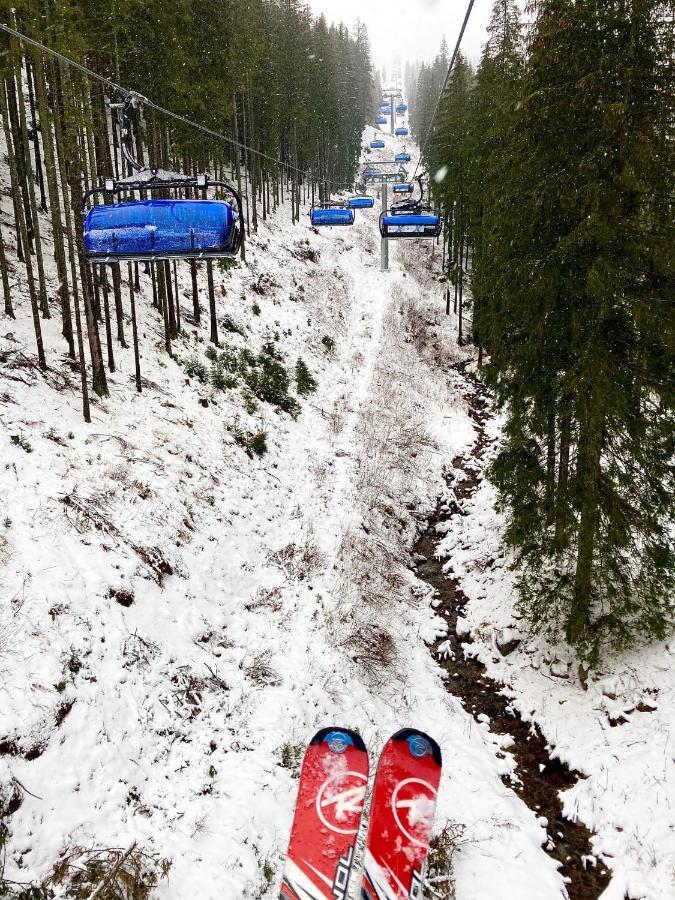 Chata Blueberry Dolina Demianowska Zewnętrze zdjęcie